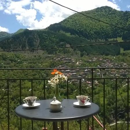 Baou House Apartment Metsovo Exterior photo