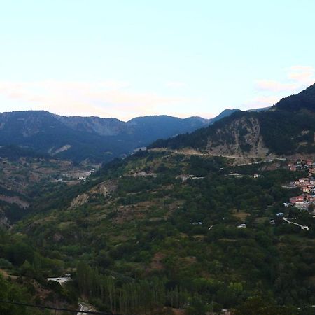 Baou House Apartment Metsovo Exterior photo